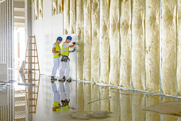 Professional Insulation Contractor in Aberdeen, NC